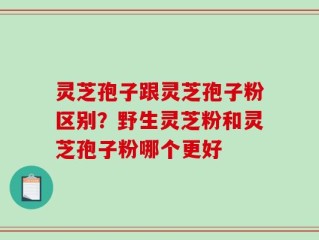 灵芝孢子跟灵芝孢子粉区别？野生灵芝粉和灵芝孢子粉哪个更好