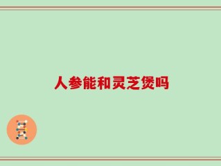 人参能和灵芝煲吗