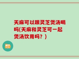 天麻可以跟灵芝煲汤喝吗(天麻和灵芝可一起煲汤饮用吗？)