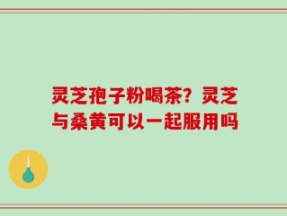 灵芝孢子粉喝茶？灵芝与桑黄可以一起服用吗