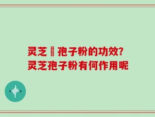 灵芝铇孢子粉的功效？灵芝孢子粉有何作用呢