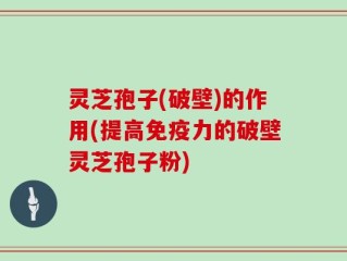 灵芝孢子(破壁)的作用(提高免疫力的破壁灵芝孢子粉)