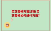 灵芝菌棒灭菌过程(灵芝菌棒如何进行灭菌？)