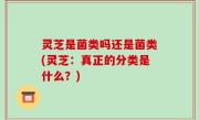 灵芝是菌类吗还是菌类(灵芝：真正的分类是什么？)