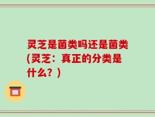灵芝是菌类吗还是菌类(灵芝：真正的分类是什么？)