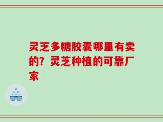 灵芝多糖胶囊哪里有卖的？灵芝种植的可靠厂家