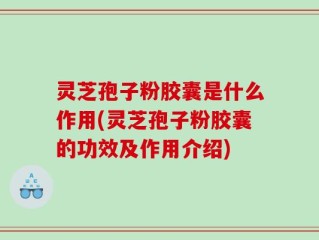 灵芝孢子粉胶囊是什么作用(灵芝孢子粉胶囊的功效及作用介绍)