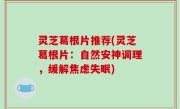灵芝葛根片推荐(灵芝葛根片：自然安神调理，缓解焦虑失眠)