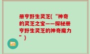 册亨野生灵芝(“神奇的灵芝之宝——探秘册亨野生灵芝的神奇魔力”)