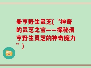 册亨野生灵芝(“神奇的灵芝之宝——探秘册亨野生灵芝的神奇魔力”)
