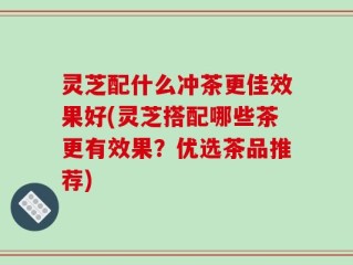 灵芝配什么冲茶更佳效果好(灵芝搭配哪些茶更有效果？优选茶品推荐)