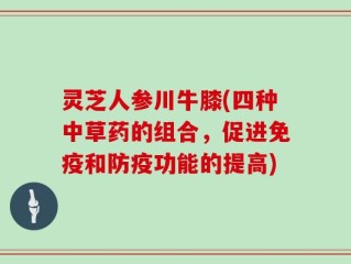 灵芝人参川牛膝(四种中草药的组合，促进免疫和防疫功能的提高)