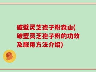 破壁灵芝孢子粉森山(破壁灵芝孢子粉的功效及服用方法介绍)