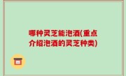 哪种灵芝能泡酒(重点介绍泡酒的灵芝种类)