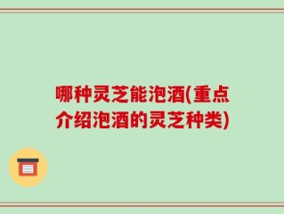 哪种灵芝能泡酒(重点介绍泡酒的灵芝种类)