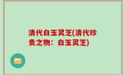 清代白玉灵芝(清代珍贵之物：白玉灵芝)