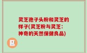 灵芝孢子头粉和灵芝的样子(灵芝粉与灵芝：神奇的天然保健良品)