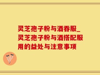 灵芝孢子粉与酒吞服_灵芝孢子粉与酒搭配服用的益处与注意事项