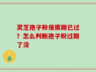 灵芝孢子粉保质期已过？怎么判断孢子粉过期了没