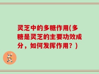 灵芝中的多糖作用(多糖是灵芝的主要功效成分，如何发挥作用？)