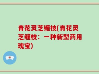 青花灵芝缠枝(青花灵芝缠枝：一种新型药用瑰宝)