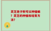 灵芝孢子粉可以种植嘛？灵芝的种植和培育方法？