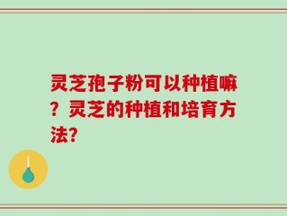 灵芝孢子粉可以种植嘛？灵芝的种植和培育方法？
