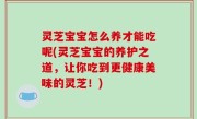 灵芝宝宝怎么养才能吃呢(灵芝宝宝的养护之道，让你吃到更健康美味的灵芝！)