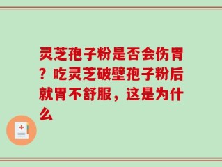 灵芝孢子粉是否会伤胃？吃灵芝破壁孢子粉后就胃不舒服，这是为什么