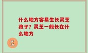 什么地方容易生长灵芝孢子？灵芝一般长在什么地方