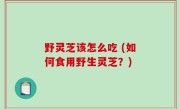 野灵芝该怎么吃 (如何食用野生灵芝？)