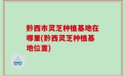 黔西市灵芝种植基地在哪里(黔西灵芝种植基地位置)