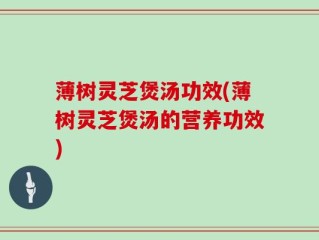 薄树灵芝煲汤功效(薄树灵芝煲汤的营养功效)