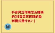 抖音灵芝传媒怎么赚钱的(抖音灵芝传媒的盈利模式是什么？)