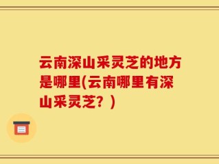 云南深山采灵芝的地方是哪里(云南哪里有深山采灵芝？)
