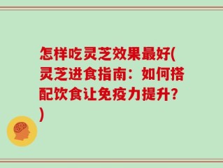 怎样吃灵芝效果最好(灵芝进食指南：如何搭配饮食让免疫力提升？)