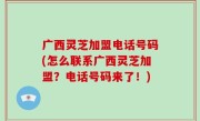 广西灵芝加盟电话号码(怎么联系广西灵芝加盟？电话号码来了！)