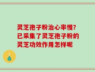 灵芝孢子粉治心率慢？已采集了灵芝孢子粉的灵芝功效作用怎样呢