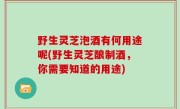 野生灵芝泡酒有何用途呢(野生灵芝酿制酒，你需要知道的用途)