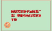 破壁灵芝孢子油胶囊厂家？哪里有收购灵芝孢子粉