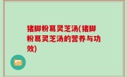 猪脚粉葛灵芝汤(猪脚粉葛灵芝汤的营养与功效)