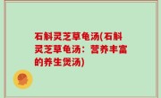 石斛灵芝草龟汤(石斛灵芝草龟汤：营养丰富的养生煲汤)