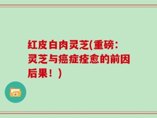 红皮白肉灵芝(重磅：灵芝与癌症痊愈的前因后果！)