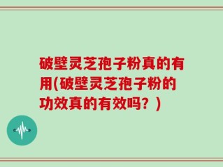 破壁灵芝孢子粉真的有用(破壁灵芝孢子粉的功效真的有效吗？)