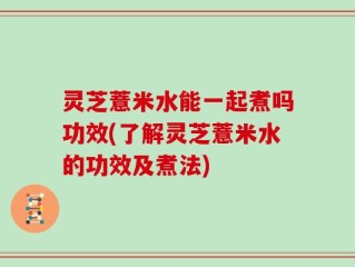灵芝薏米水能一起煮吗功效(了解灵芝薏米水的功效及煮法)