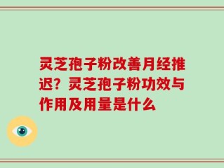 灵芝孢子粉改善月经推迟？灵芝孢子粉功效与作用及用量是什么