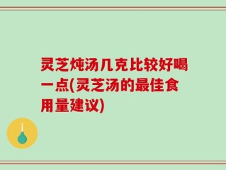 灵芝炖汤几克比较好喝一点(灵芝汤的最佳食用量建议)