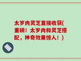 太岁肉灵芝直接收获(重磅！太岁肉和灵芝搭配，神奇效果惊人！)