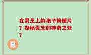 在灵芝上的孢子粉图片？探秘灵芝的神奇之处？