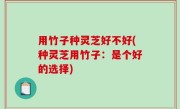 用竹子种灵芝好不好(种灵芝用竹子：是个好的选择)